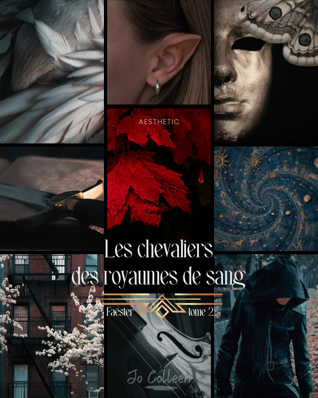 Faëster 2 - Les chevaliers des royaumes de sang - broché