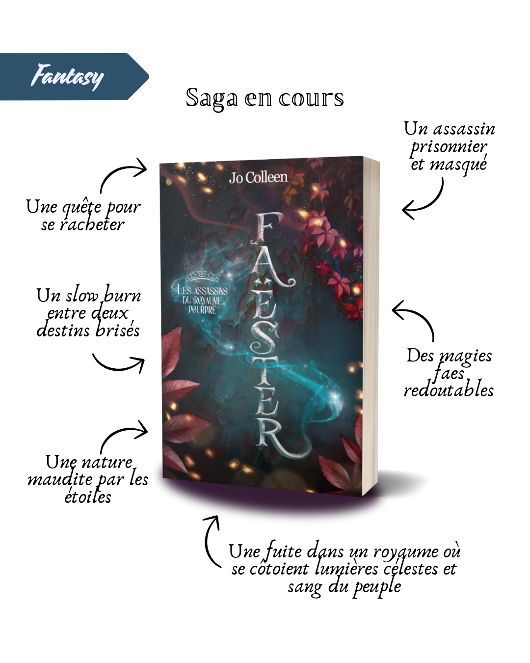 Pack sagas - Démé-Ter, Faëster et Victor's Rock