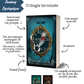 Pack sagas - Démé-Ter, Faëster et Victor's Rock